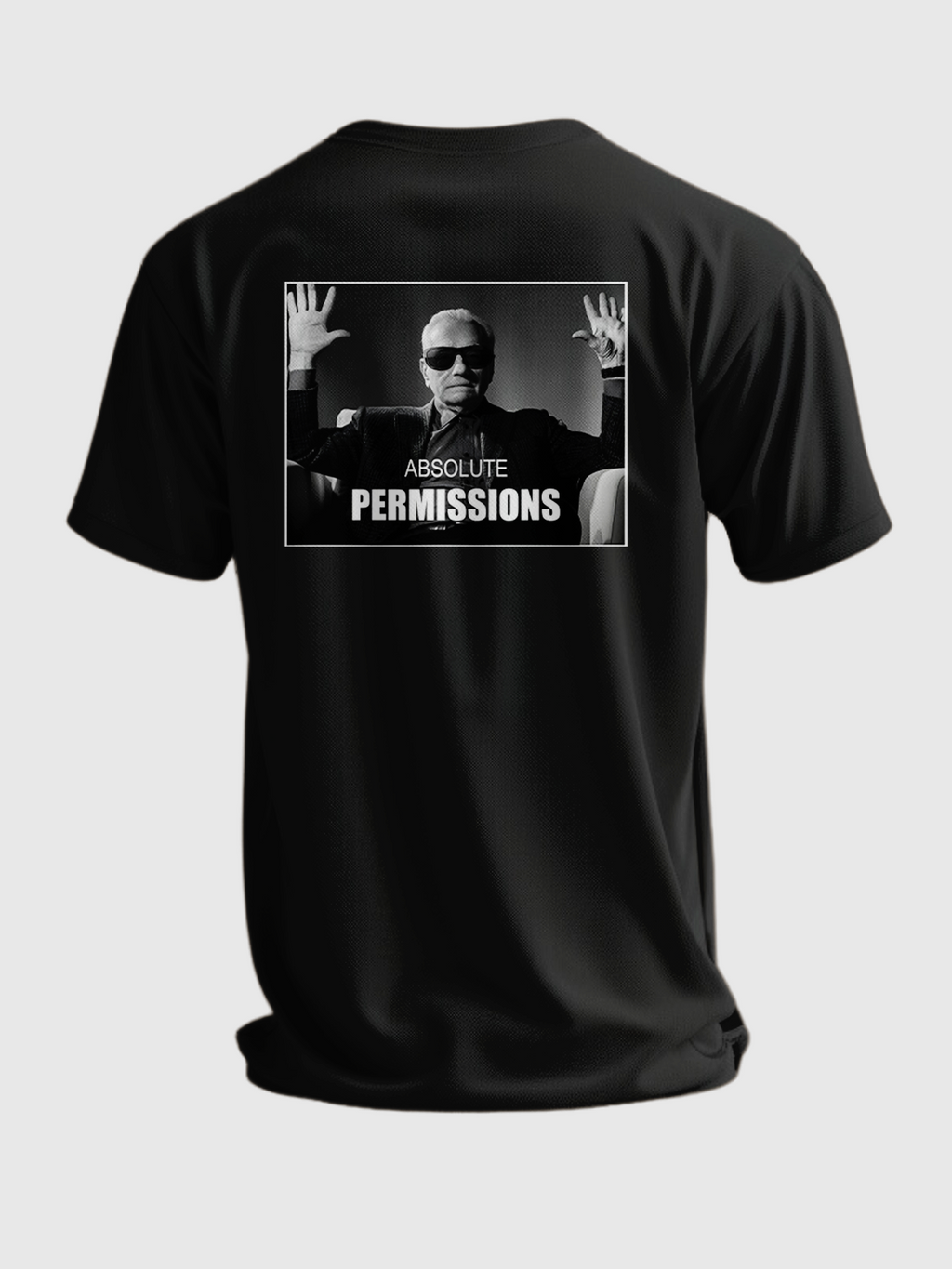 ABSOLUTE PERMISSIONS