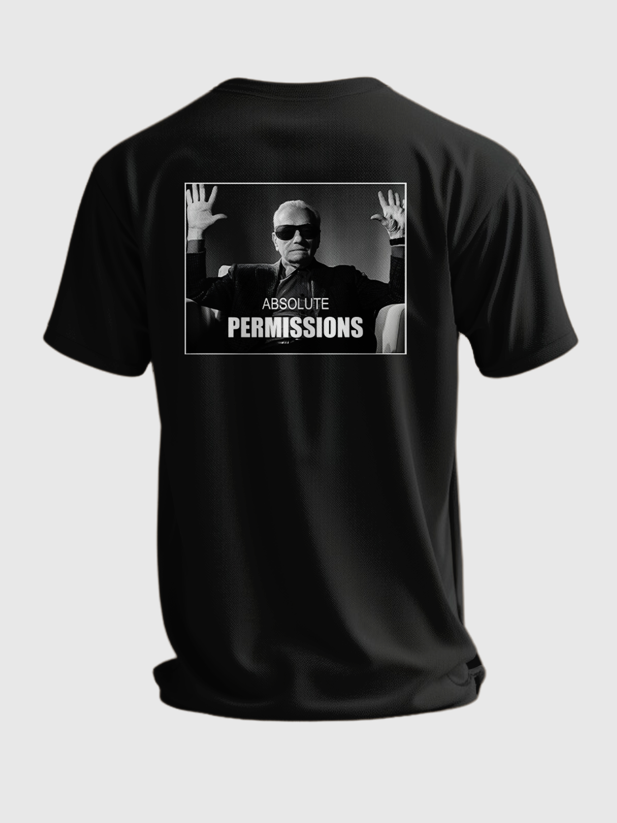 ABSOLUTE PERMISSIONS