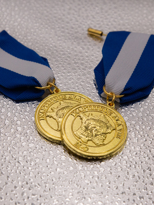 MÉDAILLE INAPTITUDE À LA VIE
