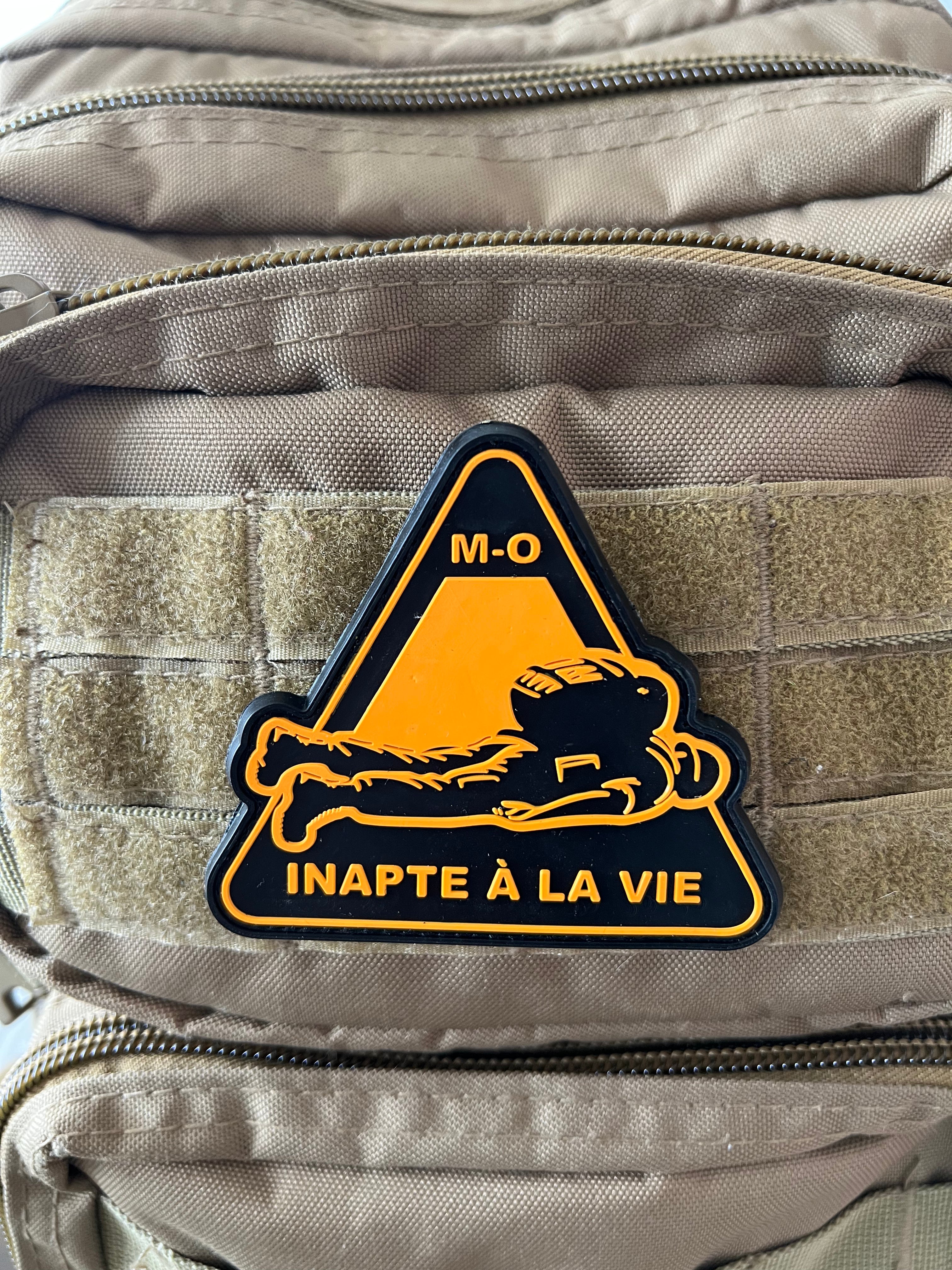INAPTE À LA VIE