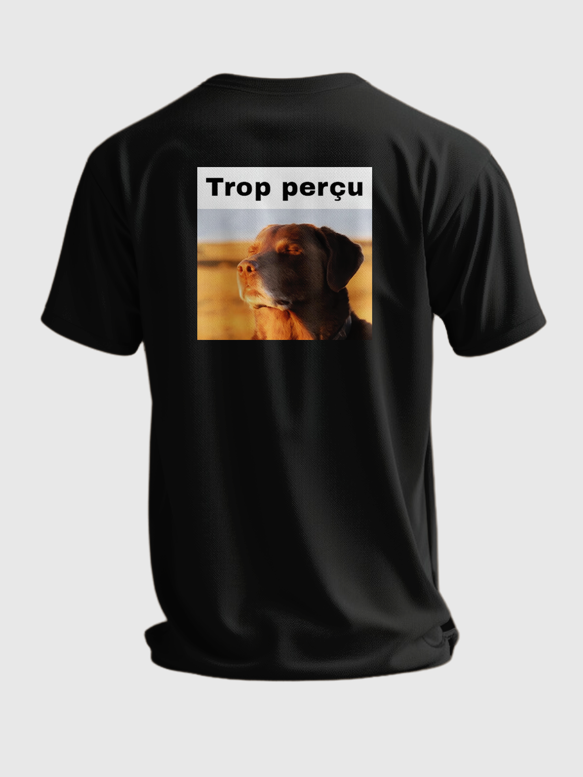 TROP PERÇU