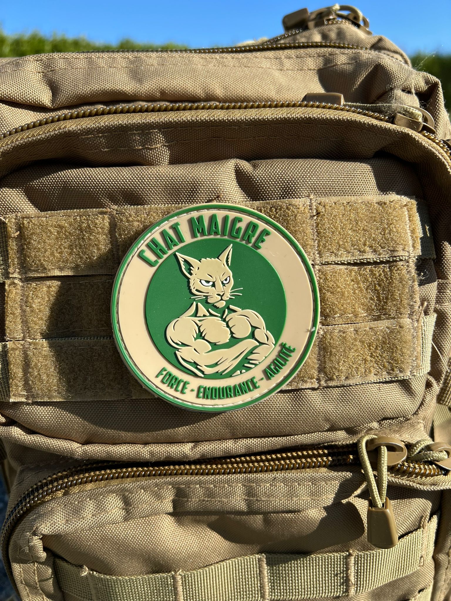 PATCH CHAT MAIGRE (VERT) - GUILE TRAINING