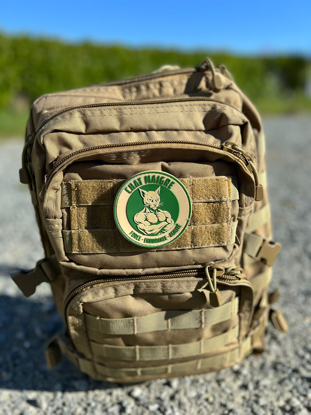 PATCH CHAT MAIGRE (VERT) - GUILE TRAINING