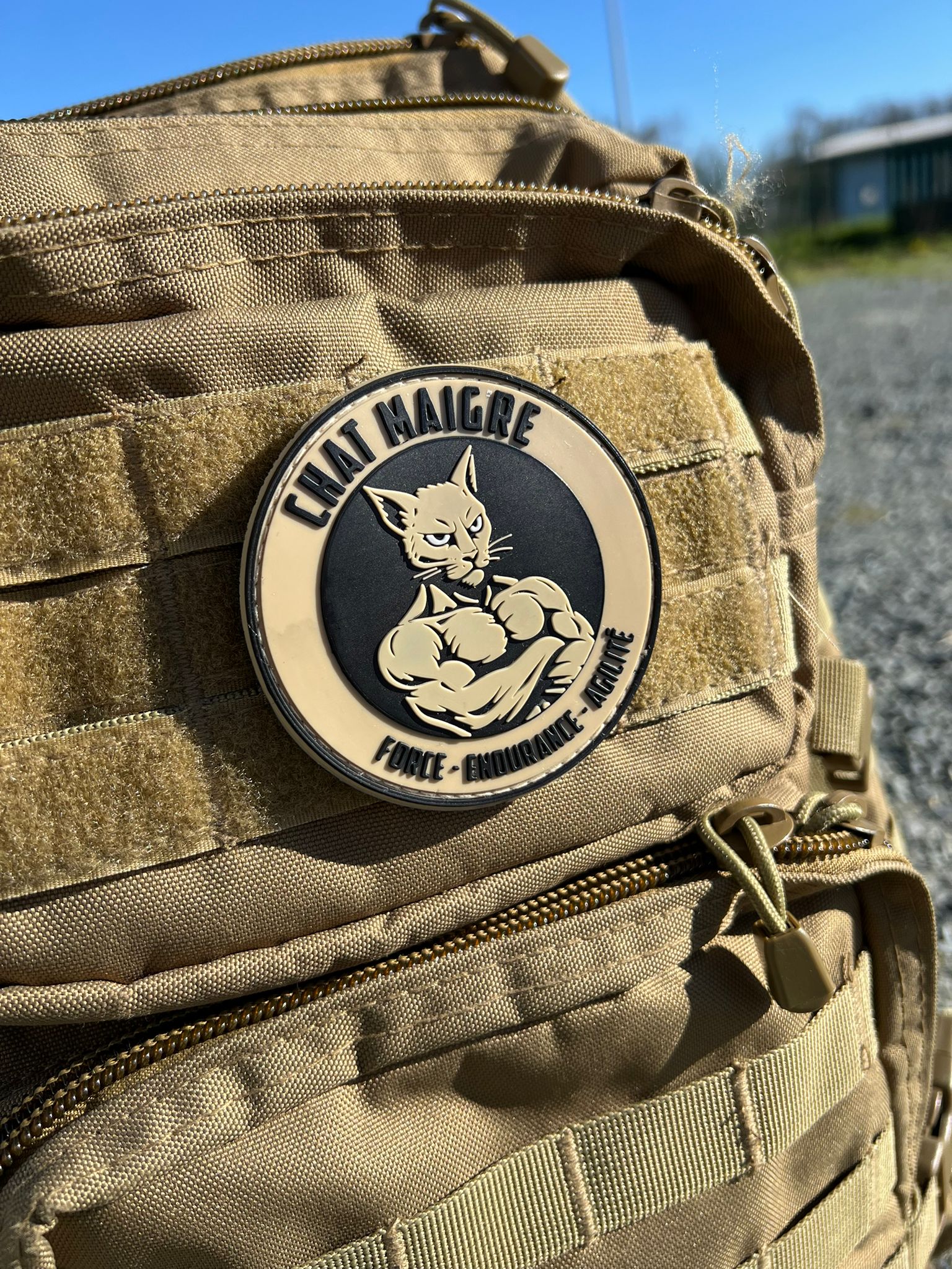 PATCH CHAT MAIGRE (NOIR) - GUILE TRAINING