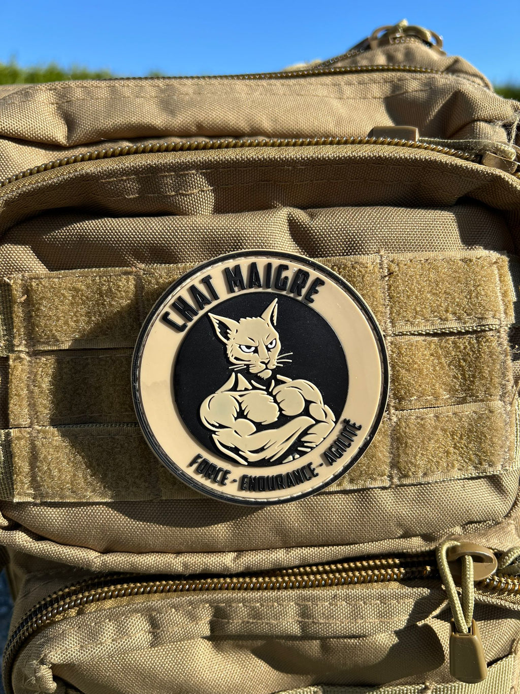 PATCH CHAT MAIGRE (NOIR) - GUILE TRAINING