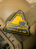 INAPTE À LA VIE