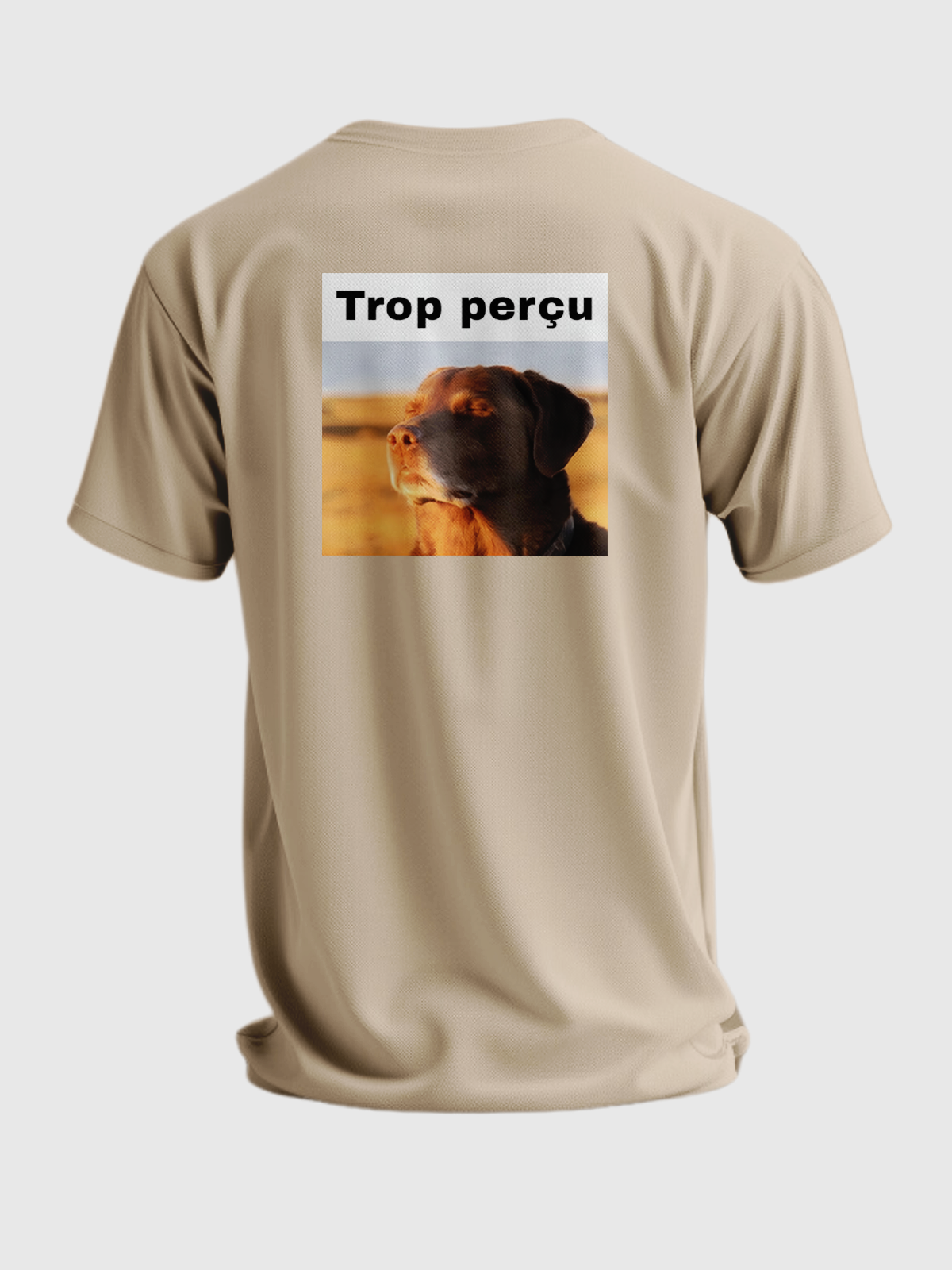 TROP PERÇU