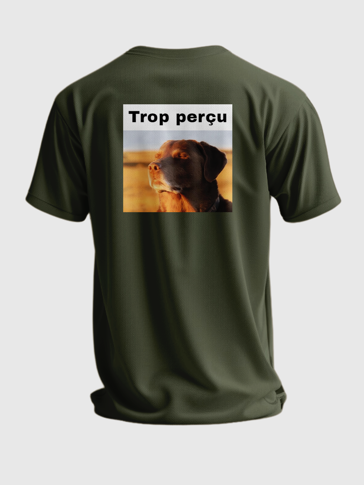 TROP PERÇU